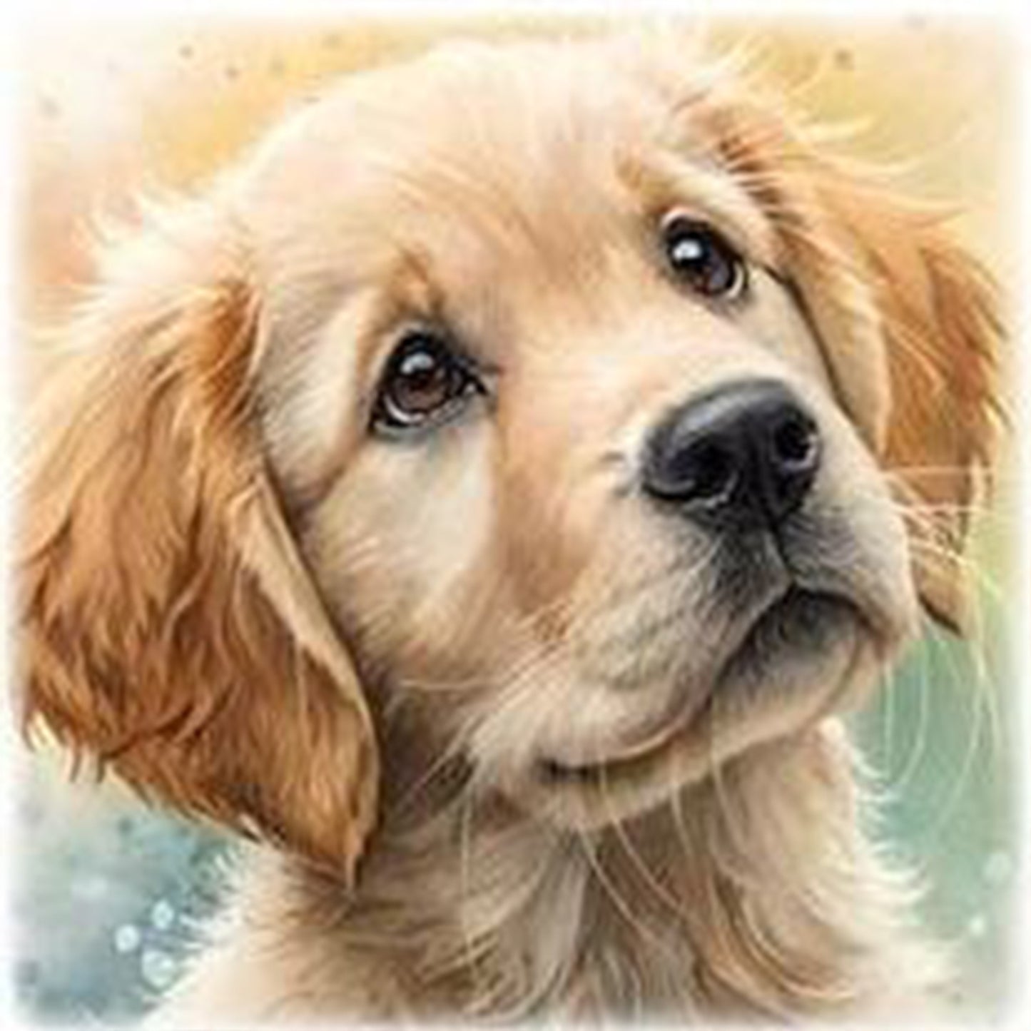 Labrador Puppy-Dog - Full 11CT Stamped Cross Stitch 40x40CM - Yishu