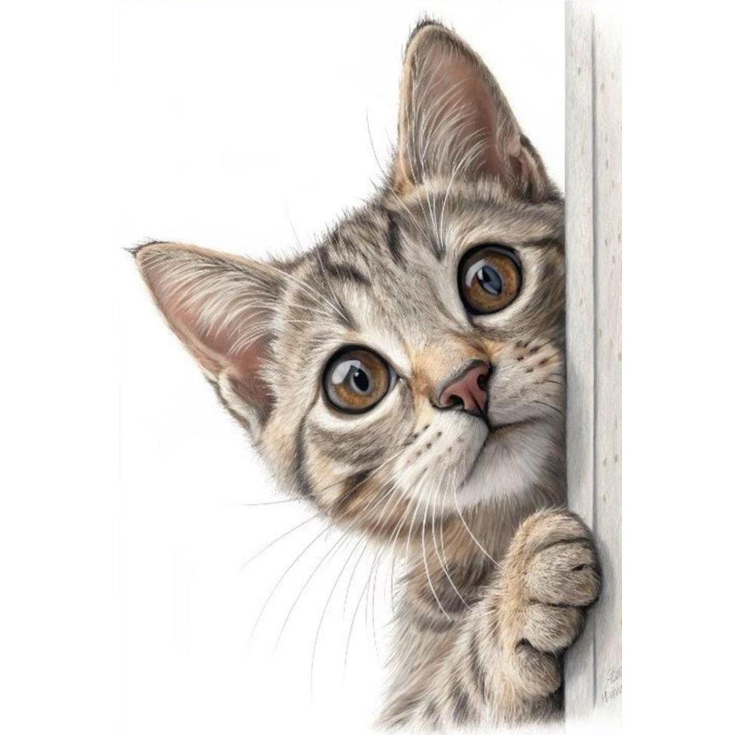 Peeking Cat - Full 11CT Stamped Cross Stitch 40x60CM - Huacan