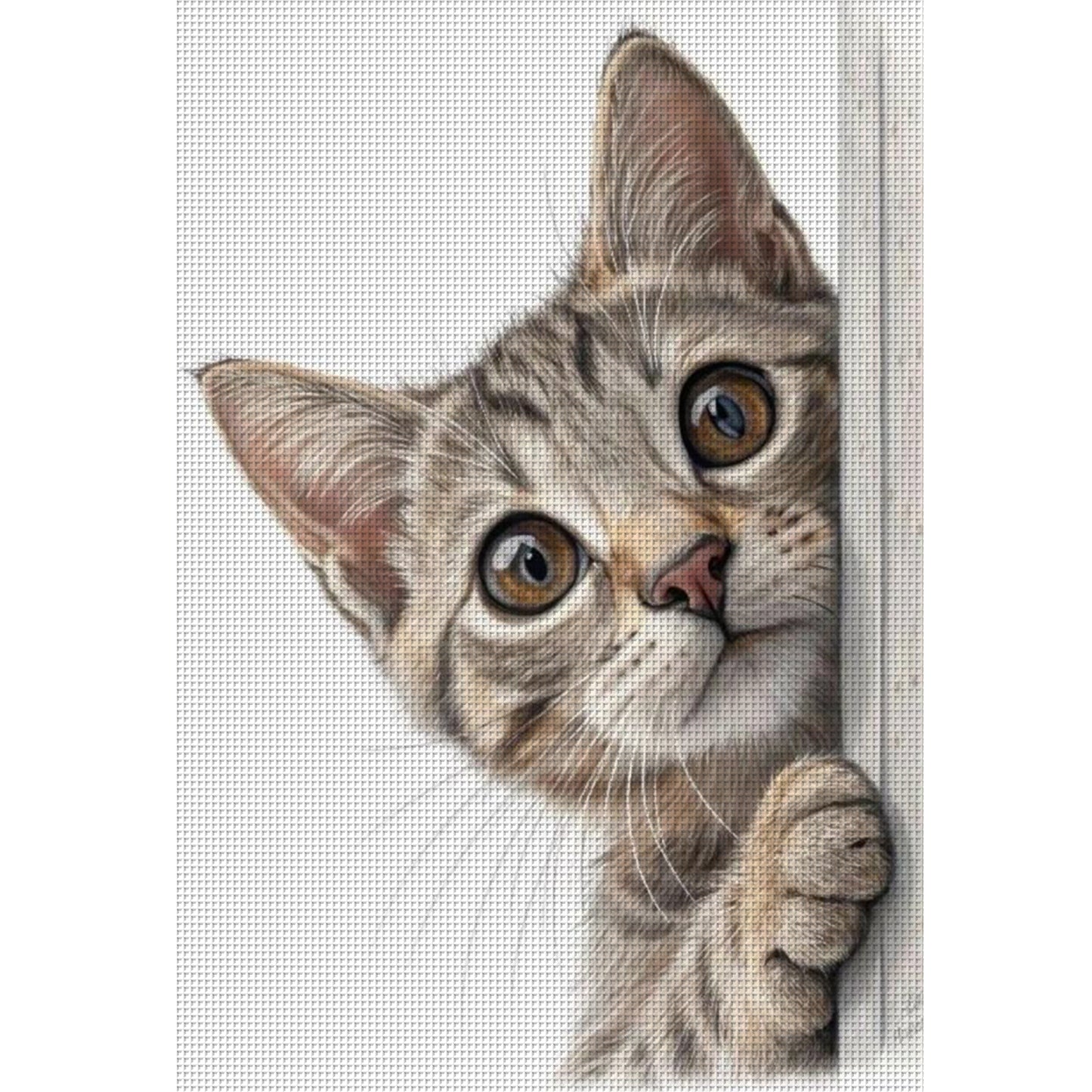 Peeking Cat - Full 11CT Stamped Cross Stitch 40x60CM - Huacan