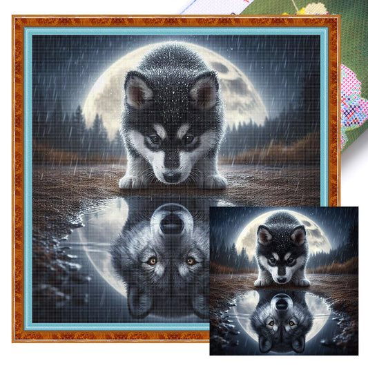 Reflected Wolf - Full 11CT Stamped Cross Stitch 45x45CM - Huacan
