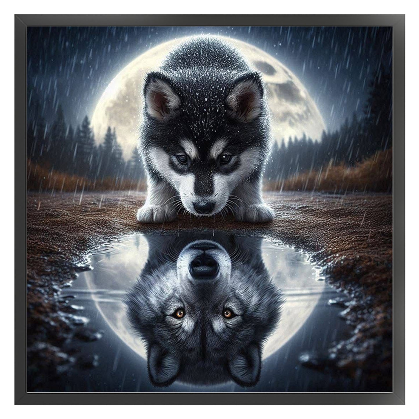 Reflected Wolf - Full 11CT Stamped Cross Stitch 45x45CM - Huacan