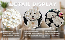 Load image into Gallery viewer, DIY Pearl Painting Kit 30x30CM Puppy Framed Handmade Pearl Material Art Set Room Wall Decoration
