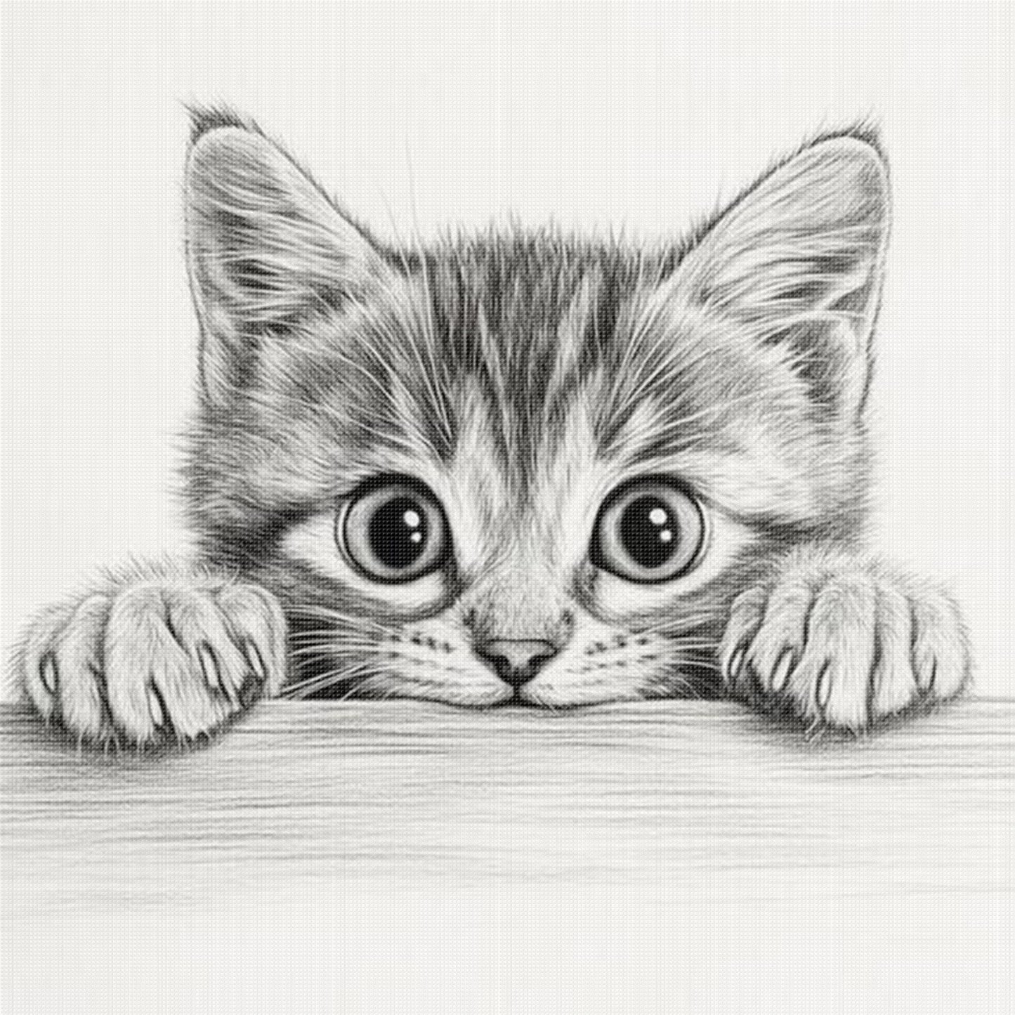Black And White Kitten - Full 11CT Stamped Cross Stitch 40x40CM - Yishu