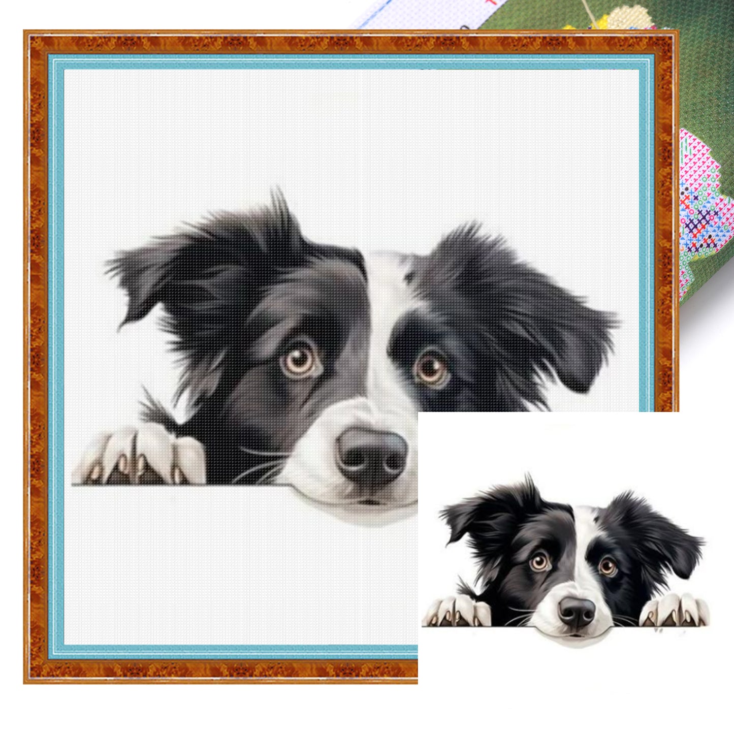 Border Collie-Dog - Full 11CT Stamped Cross Stitch 40x40CM - Yishu