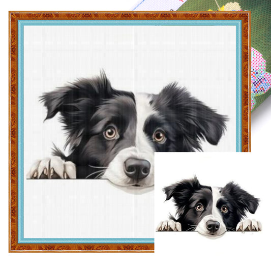 Border Collie-Dog - Full 11CT Stamped Cross Stitch 40x40CM - Yishu