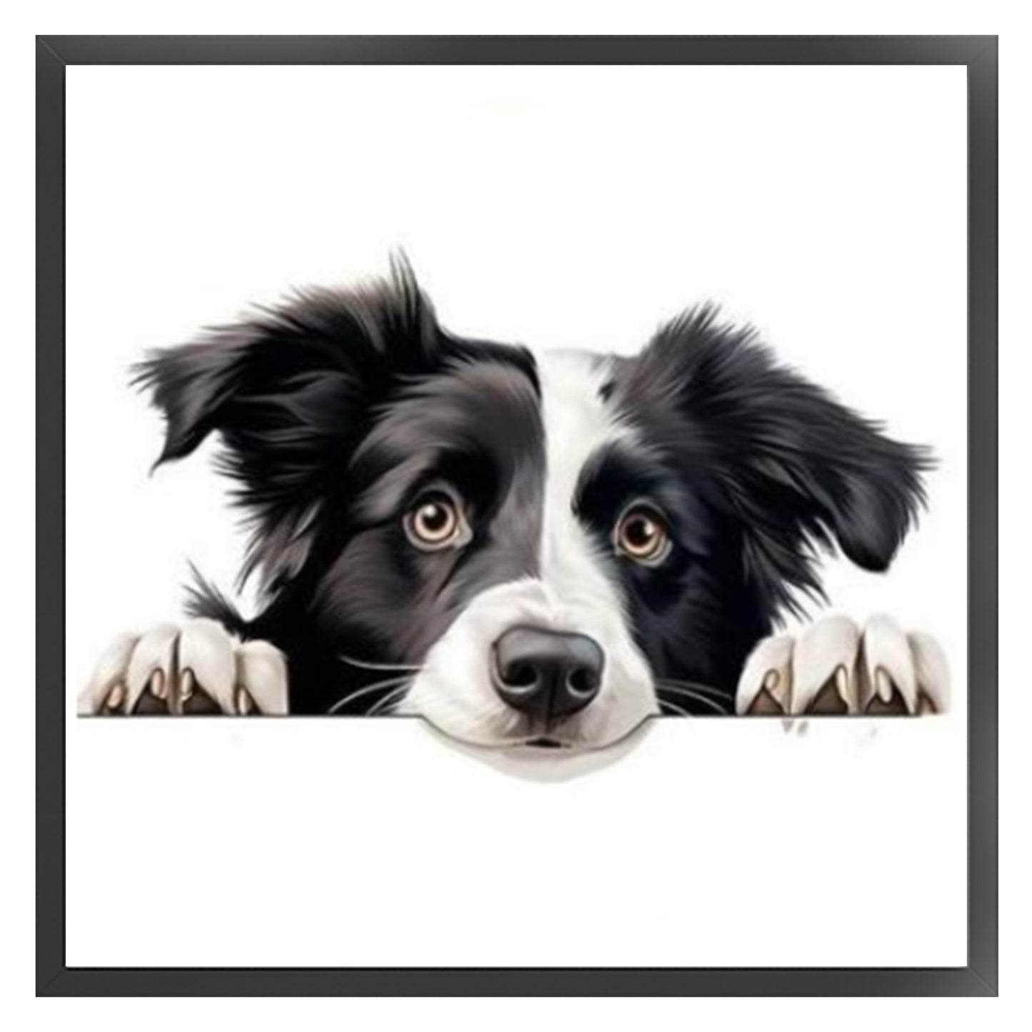 Border Collie-Dog - Full 11CT Stamped Cross Stitch 40x40CM - Yishu