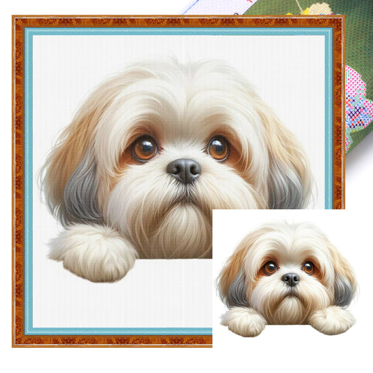 Shih Tzu-Dog - Full 11CT Stamped Cross Stitch 40x40CM - Yishu