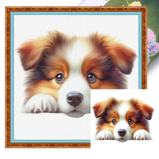 Sheepdog - Full 11CT Stamped Cross Stitch 40x40CM - Yishu