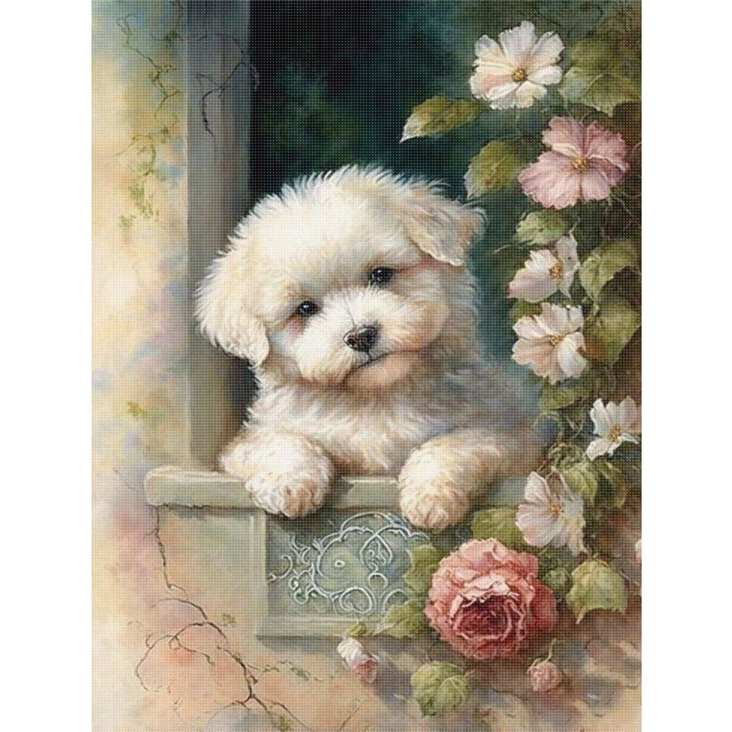 Bichon Frise-Dog - Full 11CT Stamped Cross Stitch 40x55CM - Huacan