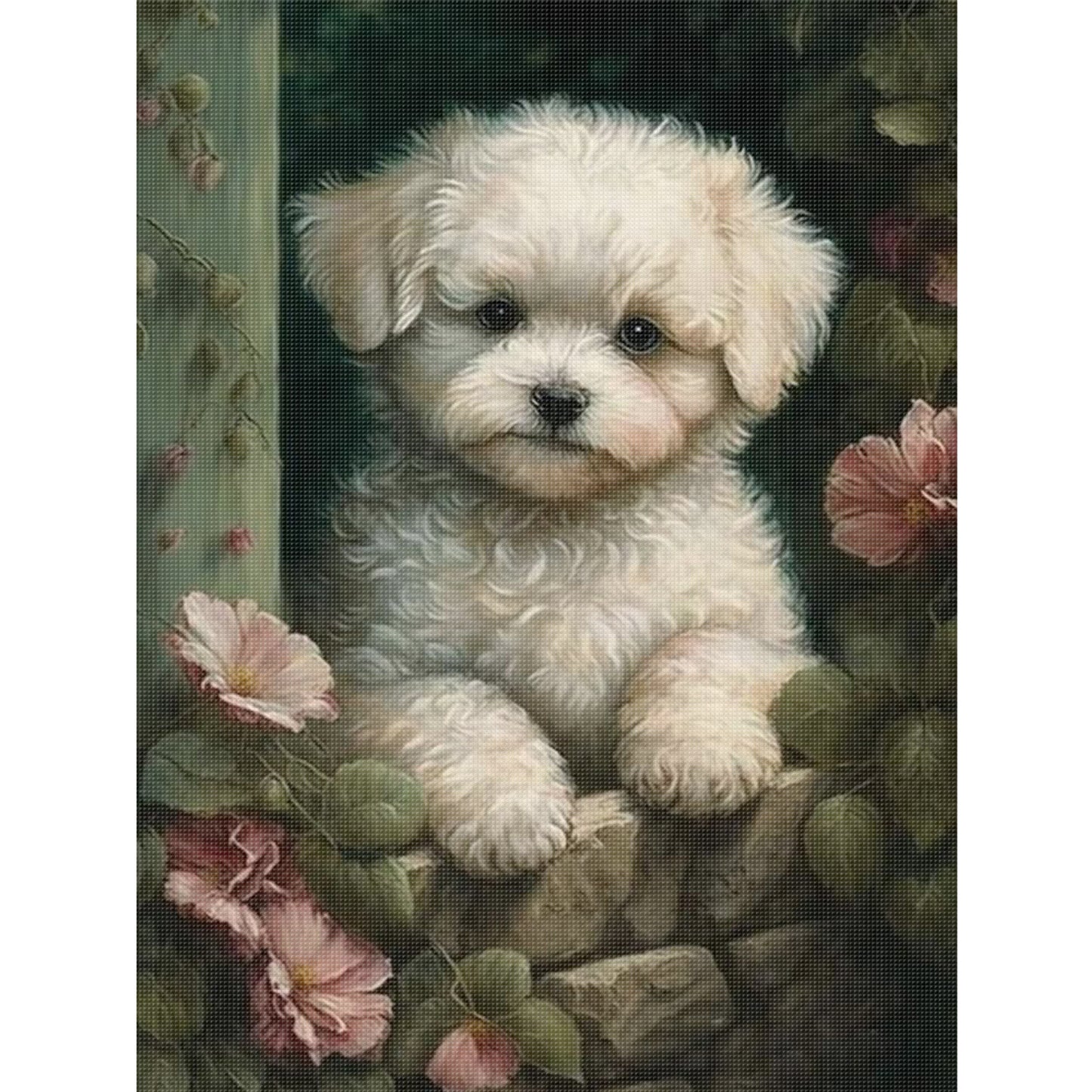 Bichon Frise-Dog - Full 11CT Stamped Cross Stitch 40x55CM - Huacan