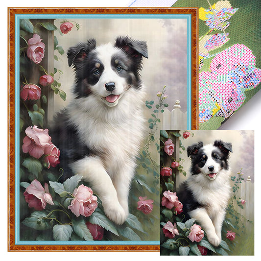 Border Collie-Dog - Full 11CT Stamped Cross Stitch 40x55CM - Huacan