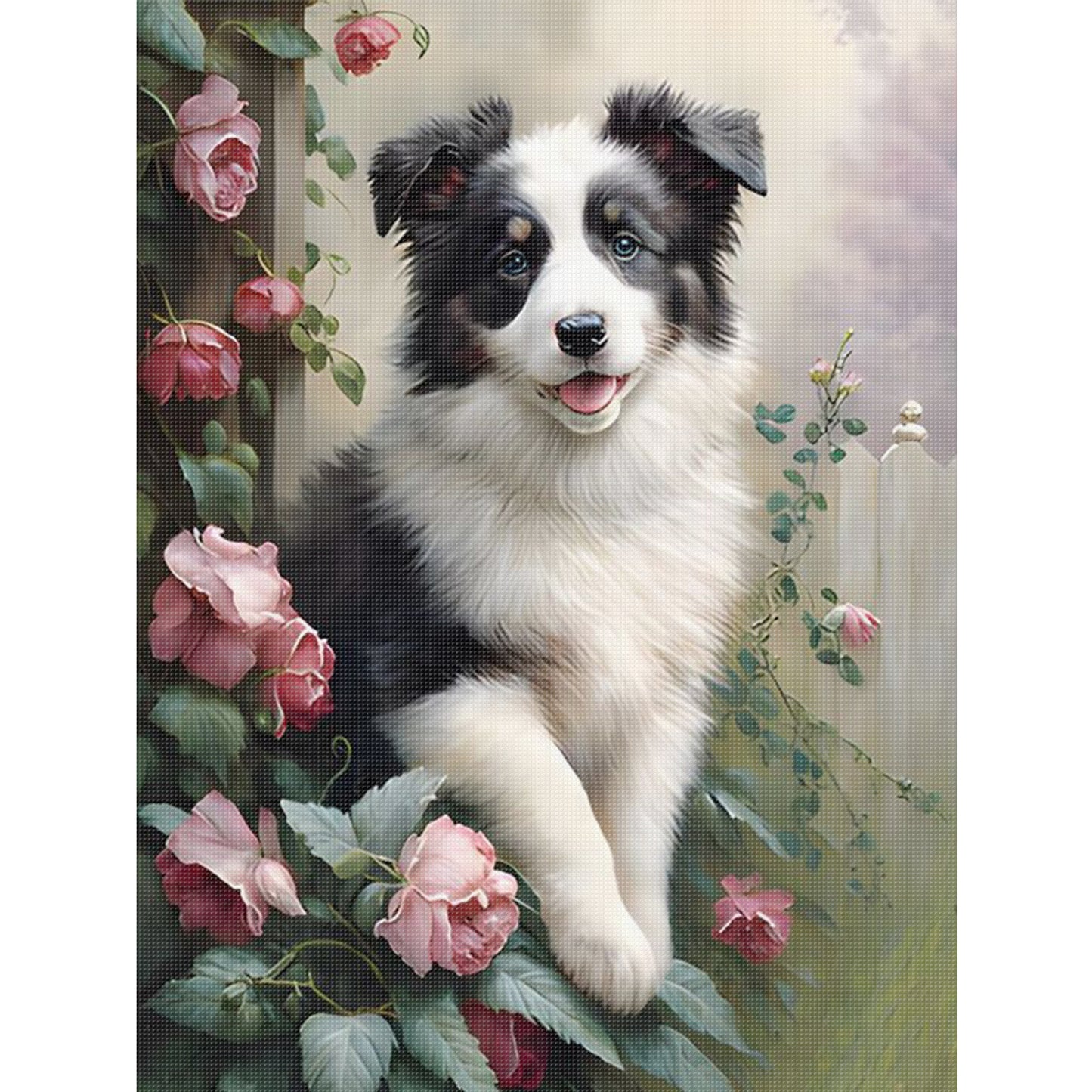 Border Collie-Dog - Full 11CT Stamped Cross Stitch 40x55CM - Huacan