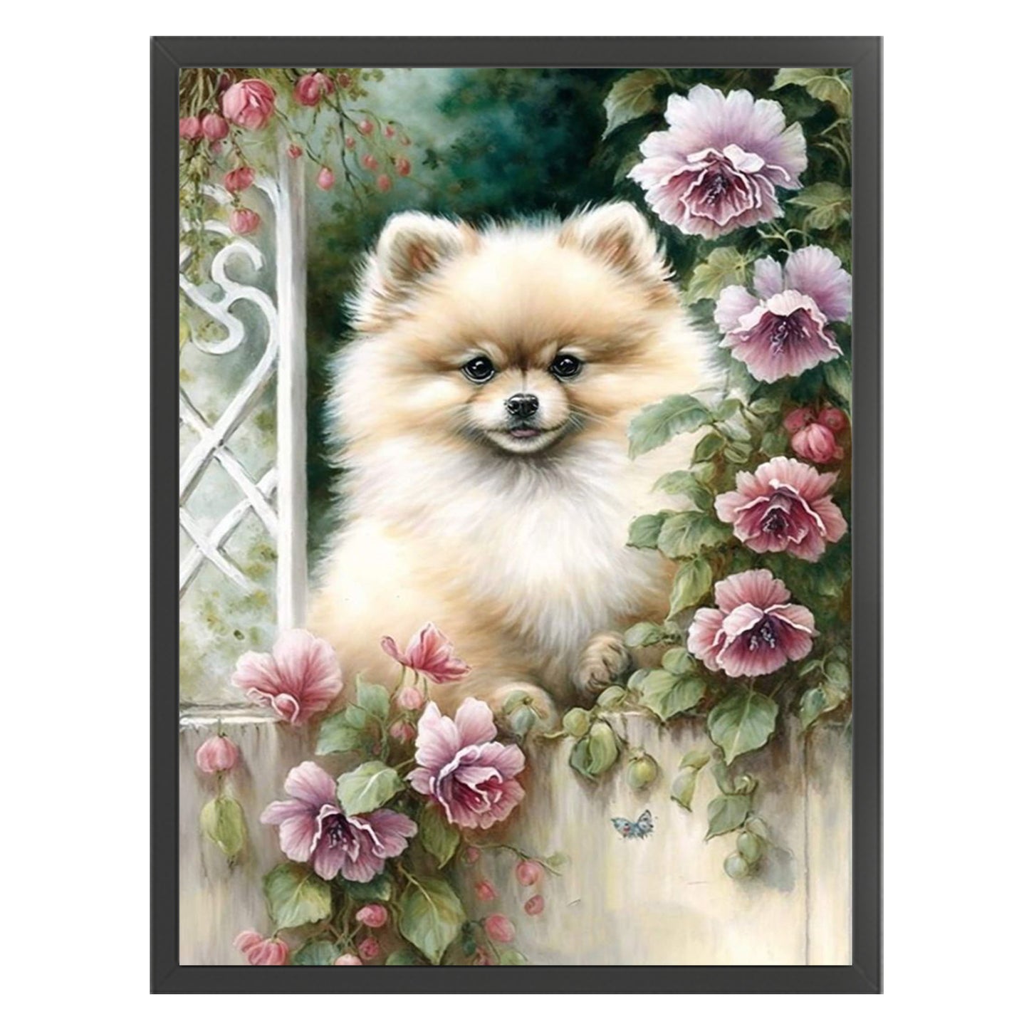 Pomeranian-Dog - Full 11CT Stamped Cross Stitch 40x55CM - Huacan