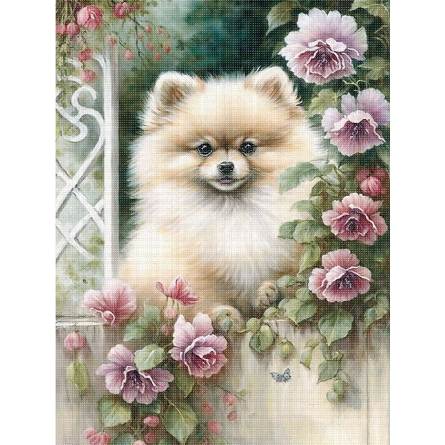 Pomeranian-Dog - Full 11CT Stamped Cross Stitch 40x55CM - Huacan