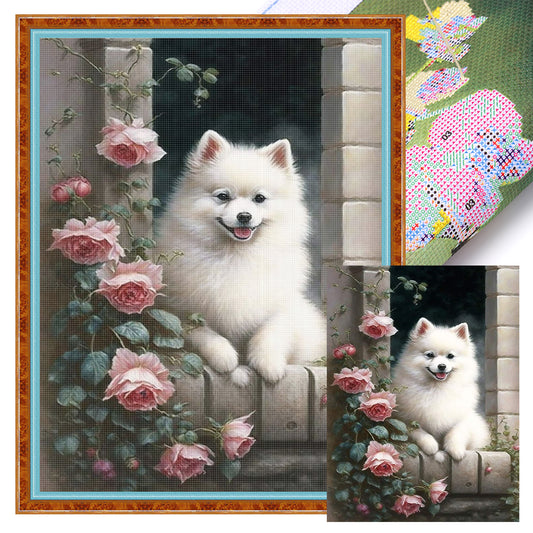 Samoyed-Dog - Full 11CT Stamped Cross Stitch 40x55CM - Huacan