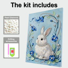 Load image into Gallery viewer, DIY Pearl Painting Kit 30x40CM Rabbit Framed Handmade Pearl Material Art Set Room Wall Decoration
