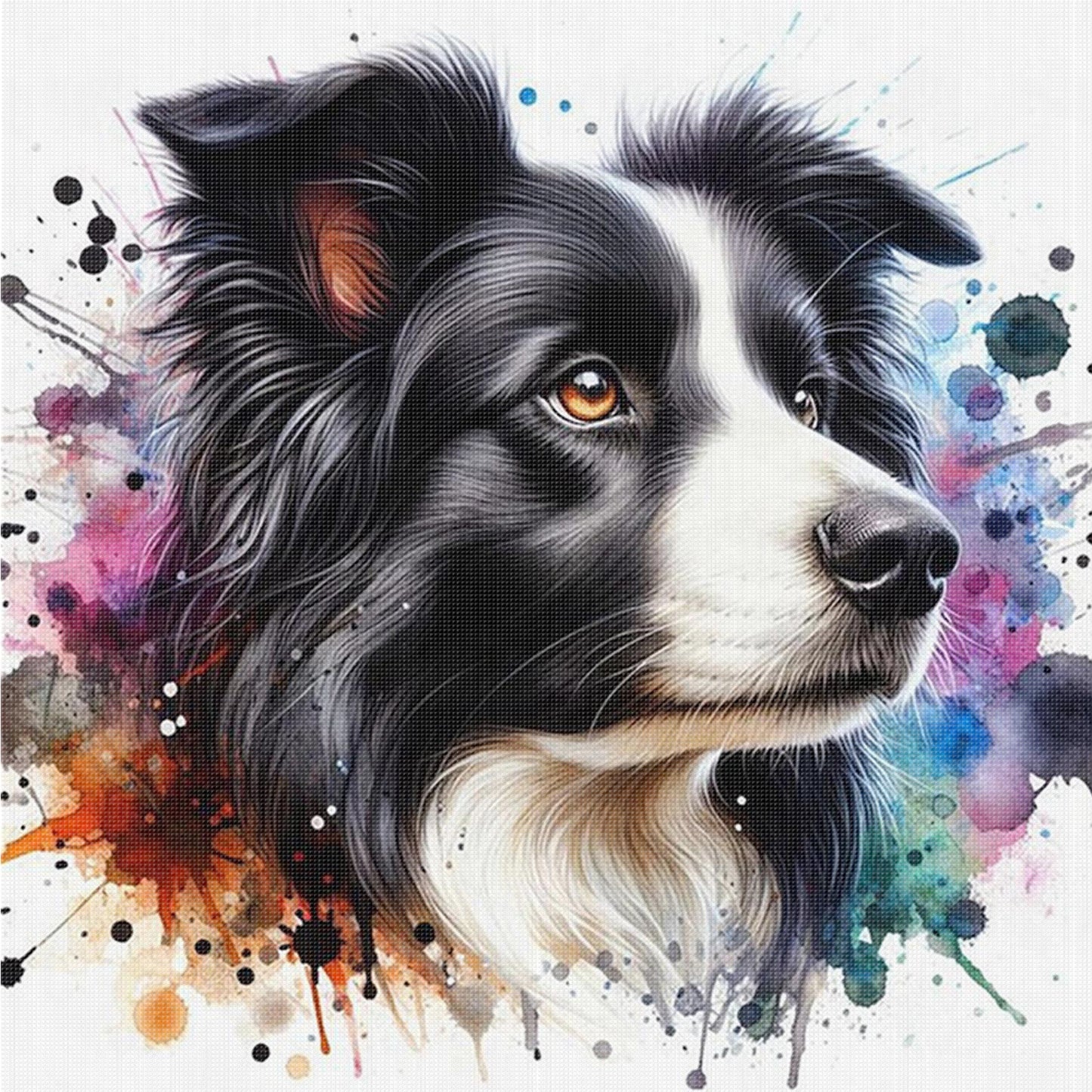 Border Collie - Full 11CT Counted Cross Stitch 40x40CM - Yishu