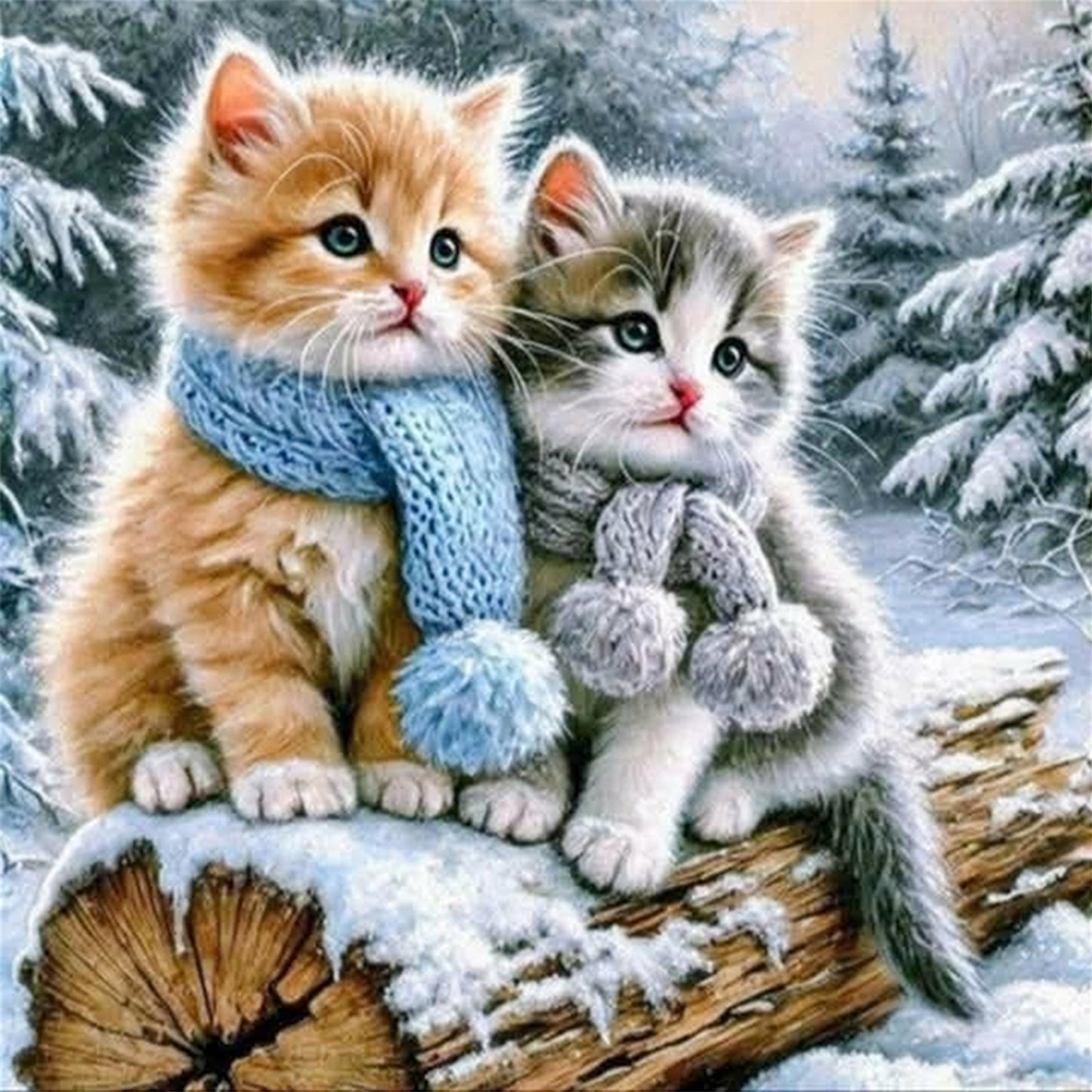 Cat With Winter Scarf - Full 11CT Stamped Cross Stitch 40x40CM - Huacan