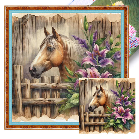 Horse - Full 11CT Stamped Cross Stitch 40x40CM - Huacan