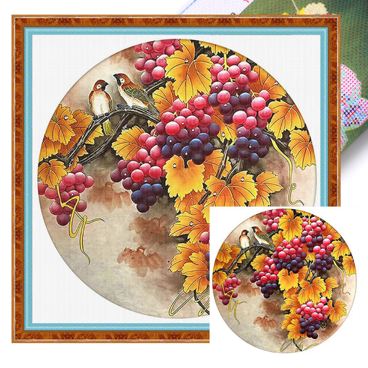 Grapes And Birds - Full 11CT Stamped Cross Stitch 40x40CM - Huacan