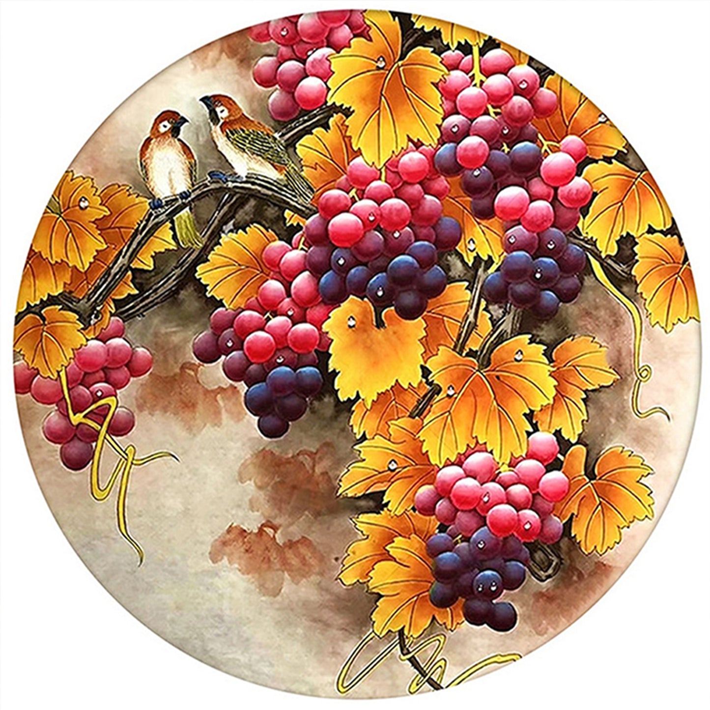 Grapes And Birds - Full 11CT Stamped Cross Stitch 40x40CM - Huacan