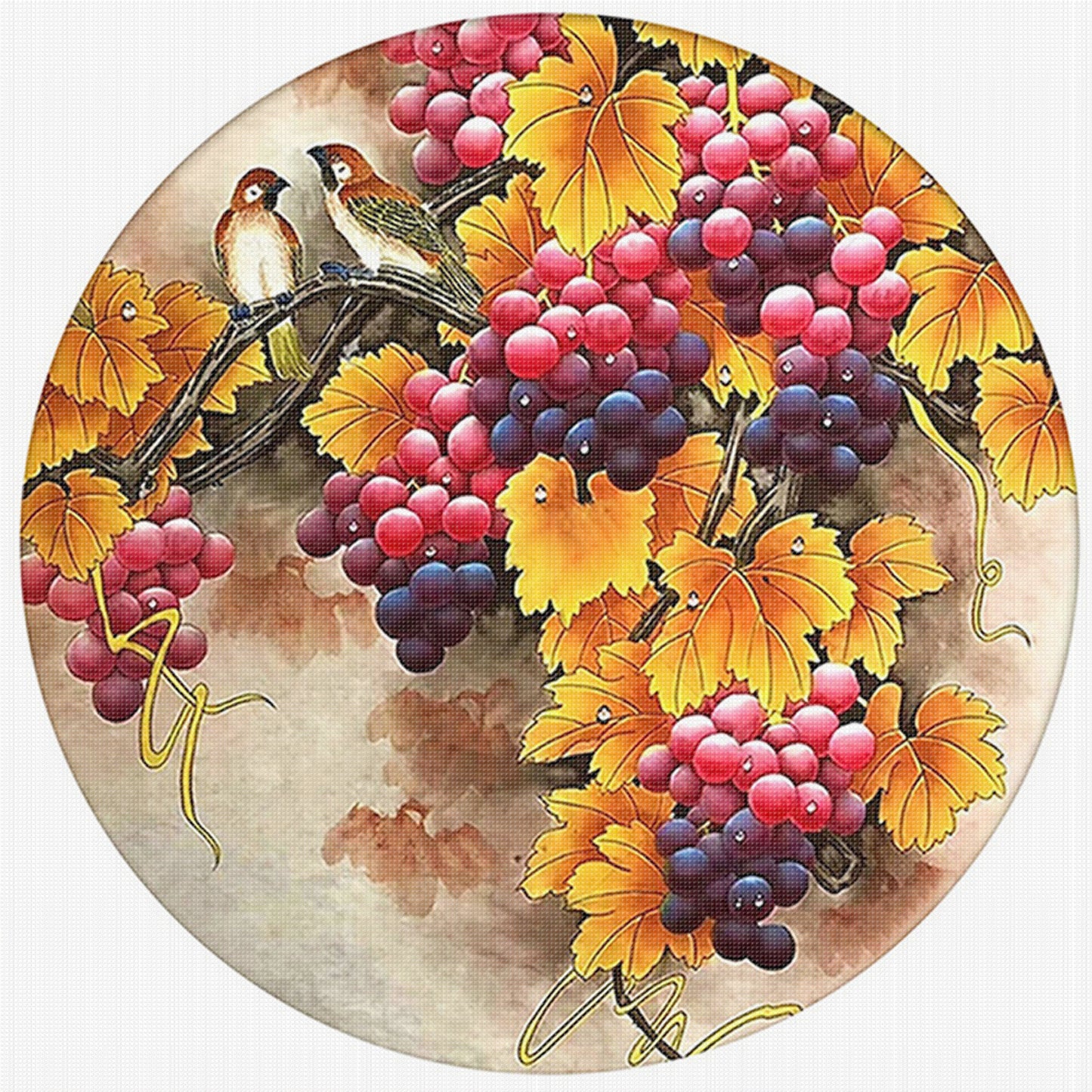 Grapes And Birds - Full 11CT Stamped Cross Stitch 40x40CM - Huacan
