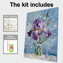 Load image into Gallery viewer, DIY Pearl Painting Kit 30x40CM Iris Framed Handmade Pearl Material Art Set Room Wall Decoration
