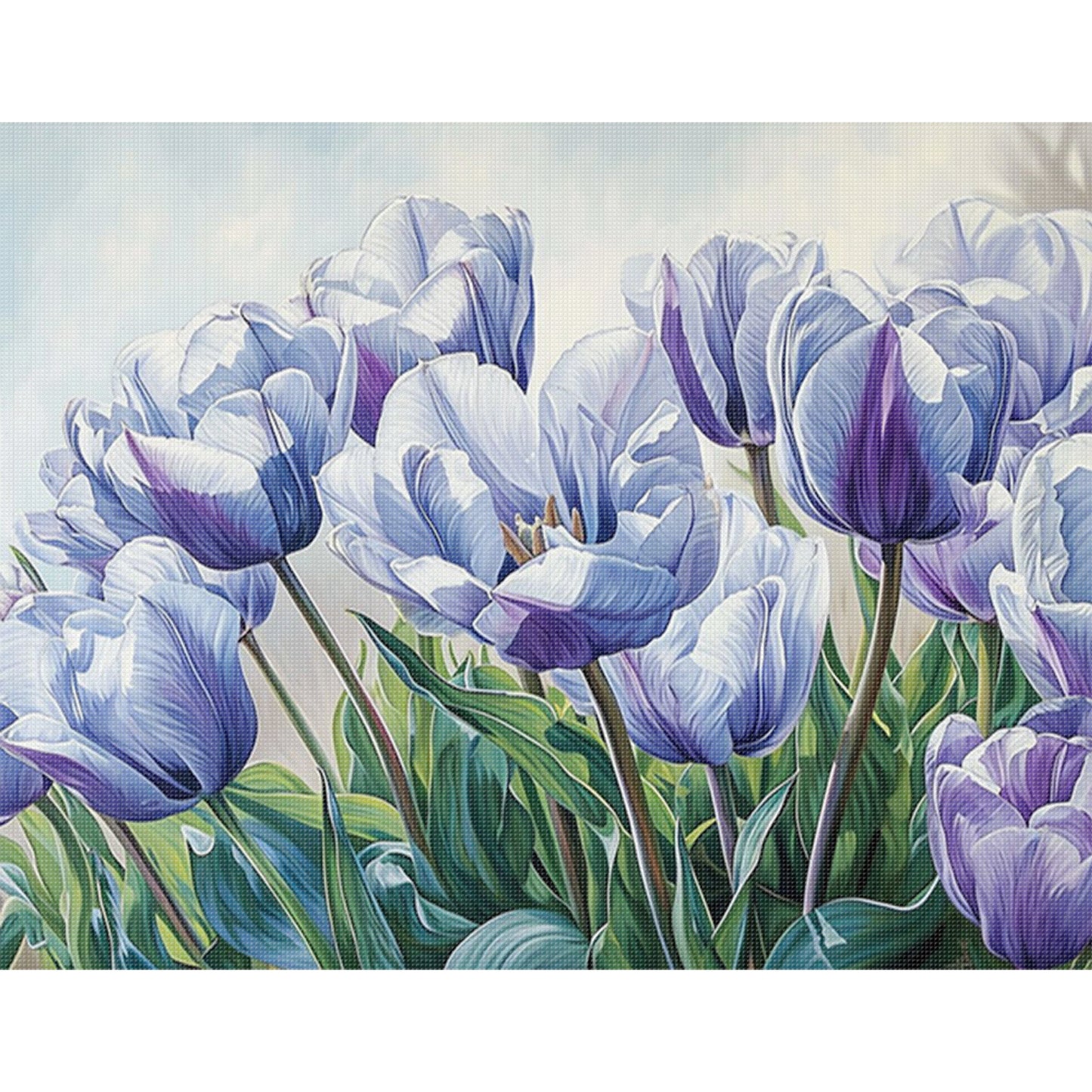 Tulip - Full 11CT Stamped Cross Stitch 50x40CM - Huacan
