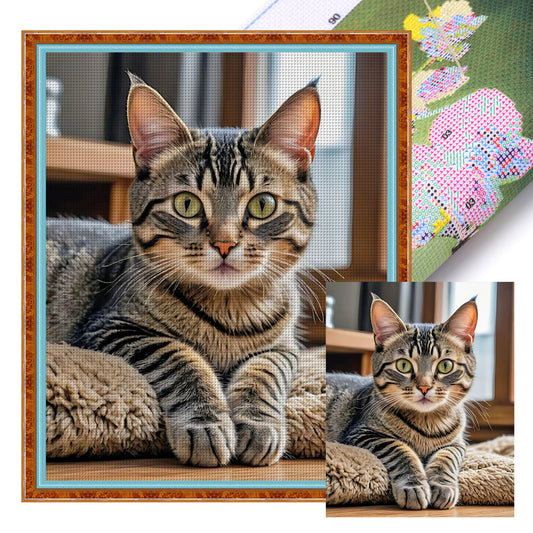Cat - Full 11CT Stamped Cross Stitch 40x50CM - Yishu