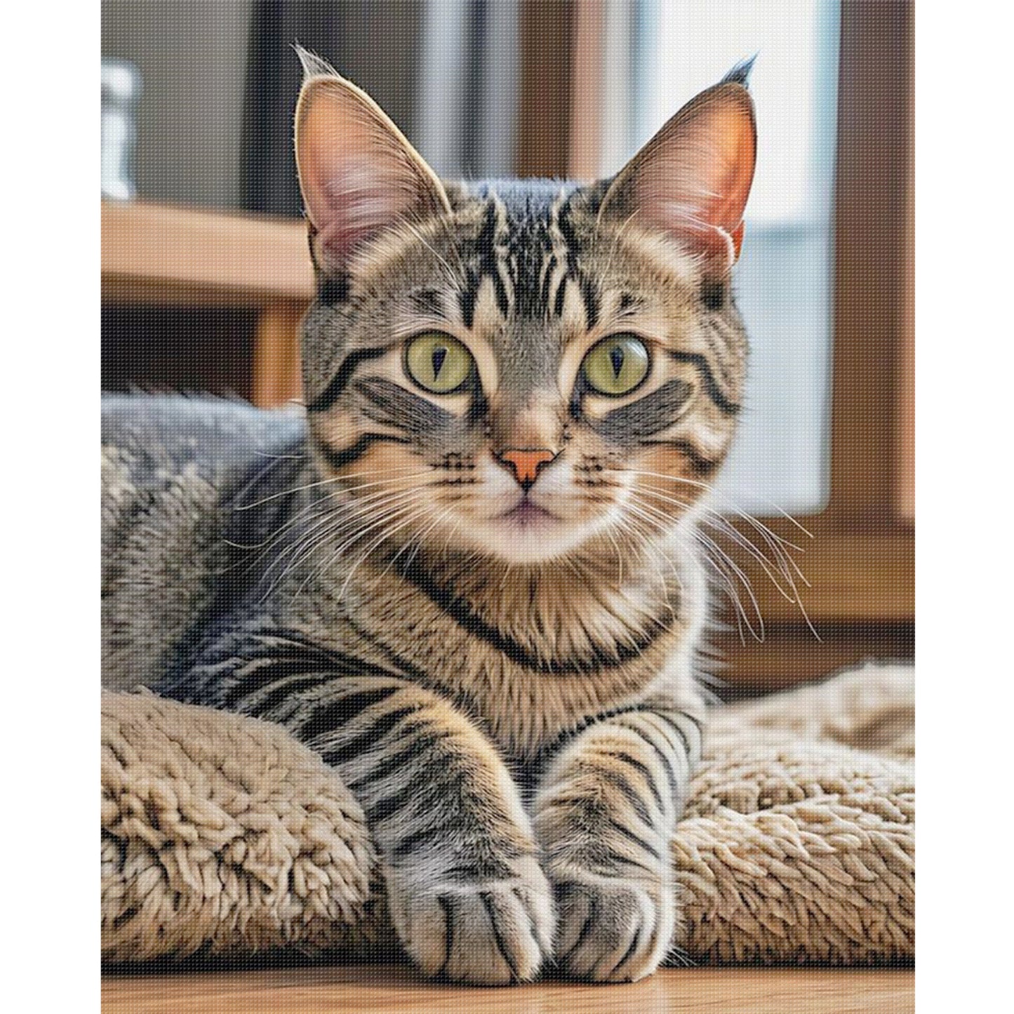 Cat - Full 11CT Stamped Cross Stitch 40x50CM - Yishu