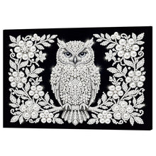 Load image into Gallery viewer, DIY Pearl Painting Kit 20x30CM Owl Framed Handmade Pearl Material Art Set Room Wall Decoration
