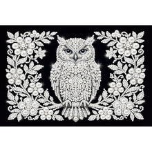 Load image into Gallery viewer, DIY Pearl Painting Kit 20x30CM Owl Framed Handmade Pearl Material Art Set Room Wall Decoration
