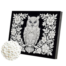 Load image into Gallery viewer, DIY Pearl Painting Kit 20x30CM Owl Framed Handmade Pearl Material Art Set Room Wall Decoration
