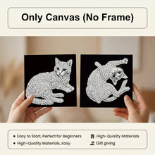 Load image into Gallery viewer, 12pcs/set Pearl Diamond Painting 15x15CM Cat Unframed Handmade Pearl Material Art Set Room Wall Decoration
