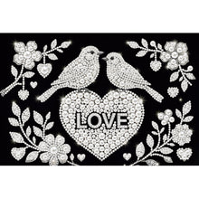 Load image into Gallery viewer, DIY Pearl Painting Kit 20x30CM Birds Framed Handmade Pearl Material Art Set Room Wall Decoration
