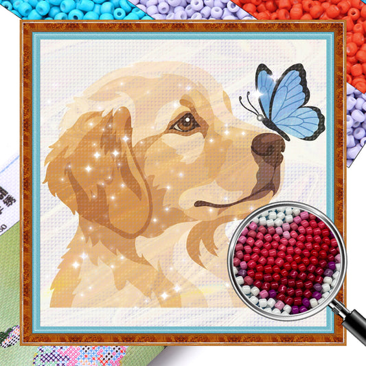 Golden Retriever - Partial 11CT Stamped Cross Stitch - Bead Embroidery 36x36CM/14.17x14.17in