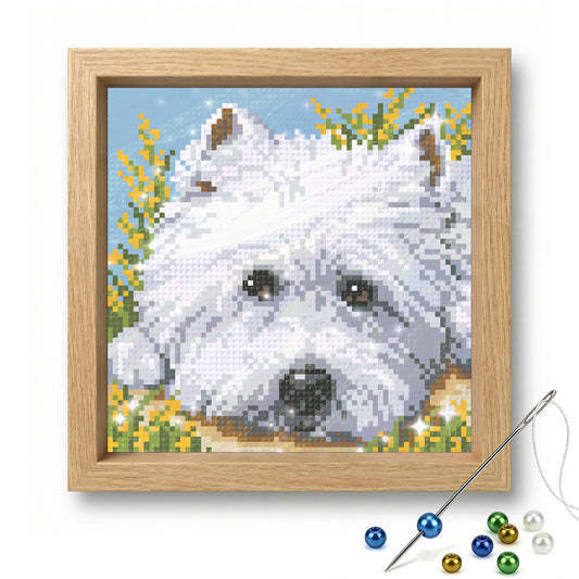 West Highland White - Full  9CT Stamped Cross Stitch - Bead Embroidery 20x20CM/7.87x7.87in