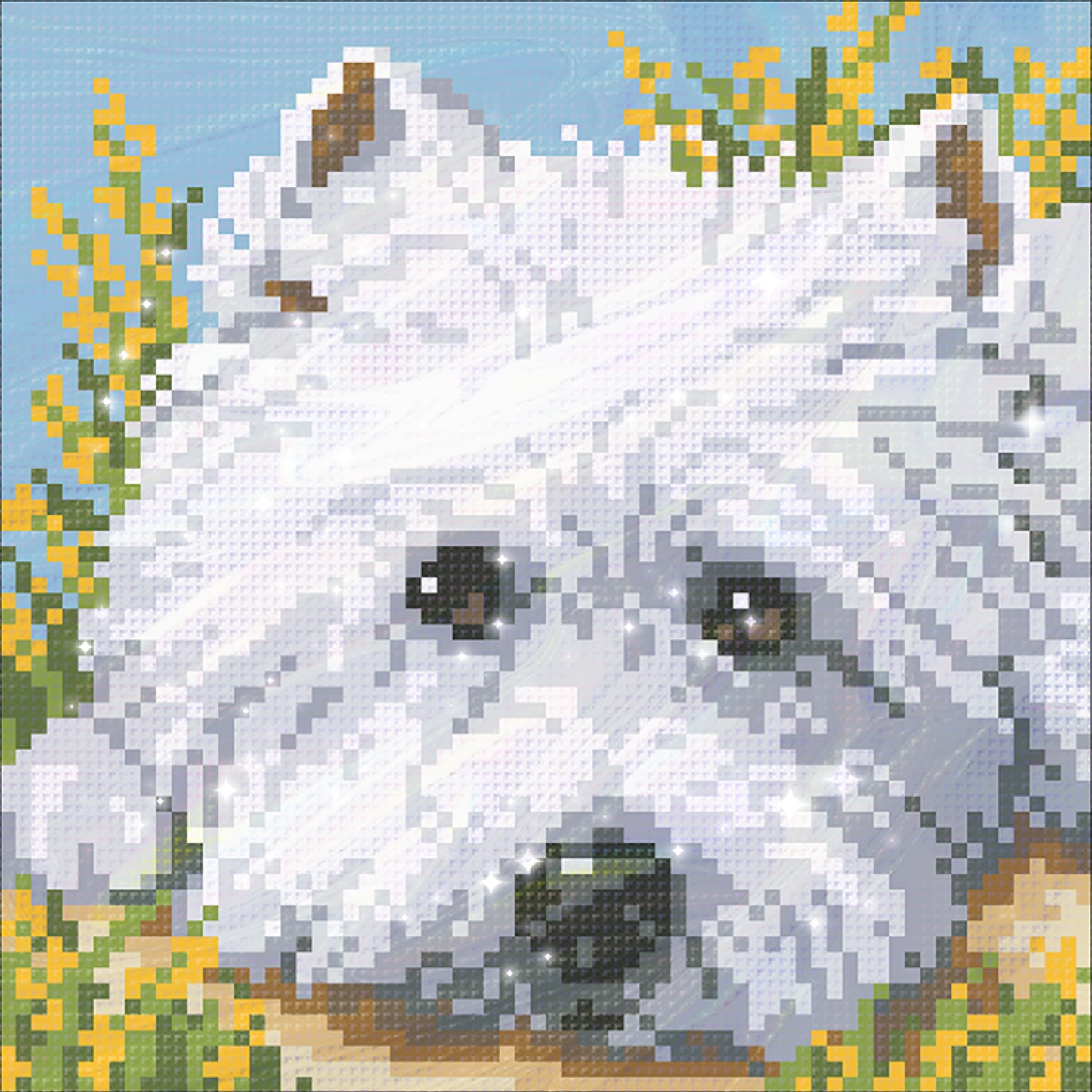 West Highland White - Full  9CT Stamped Cross Stitch - Bead Embroidery 20x20CM/7.87x7.87in