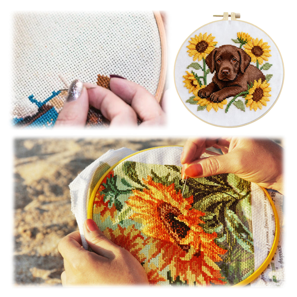 Labrador-Sonnenblume-Hund – DIY-Stickset Kreuzstich mit Vorlage, Baumwollgarnen, Nadeln und Stickrahmen, 24x24 cm