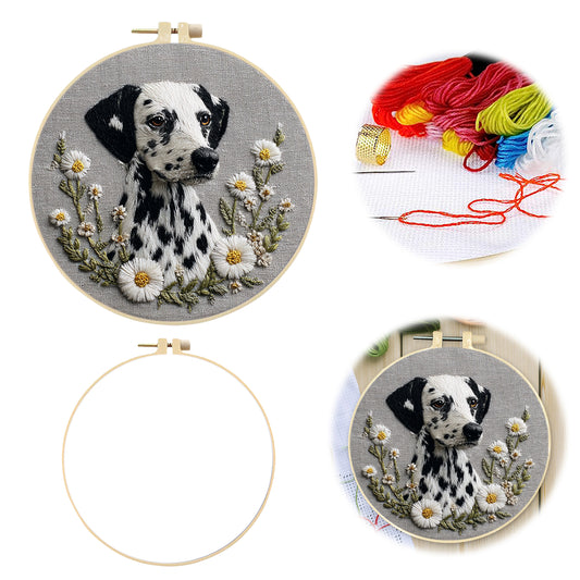 Dalmatian Daisy - DIY Embroidery Cross Stitch Kit with Pattern Cotton Threads Needles Hoop 30x30CM/11.81x11.81in