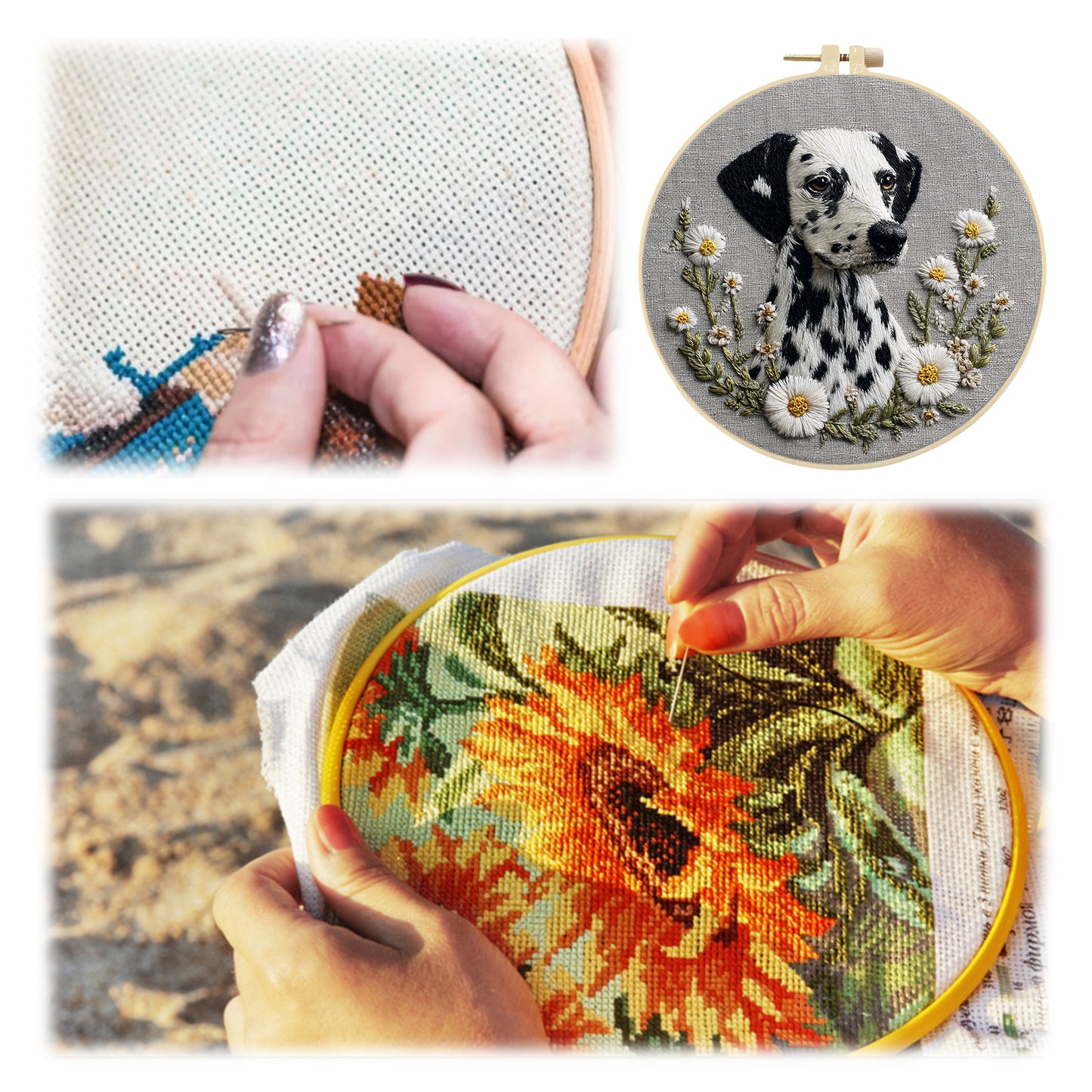 Dalmatian Daisy - DIY Embroidery Cross Stitch Kit with Pattern Cotton Threads Needles Hoop 30x30CM/11.81x11.81in