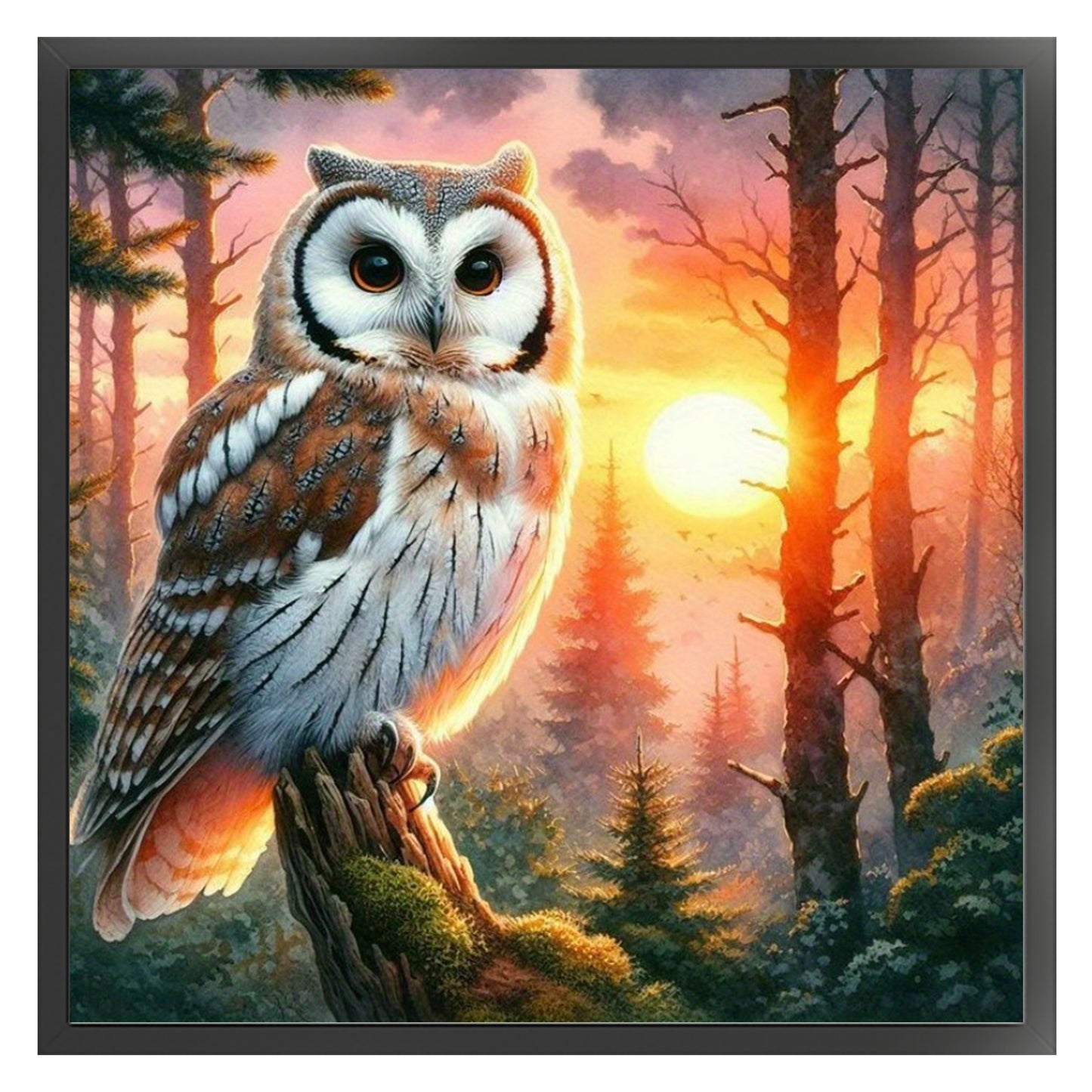 Forest Owl Sunset - Full 11CT Stamped Cross Stitch 40x40CM - Huacan