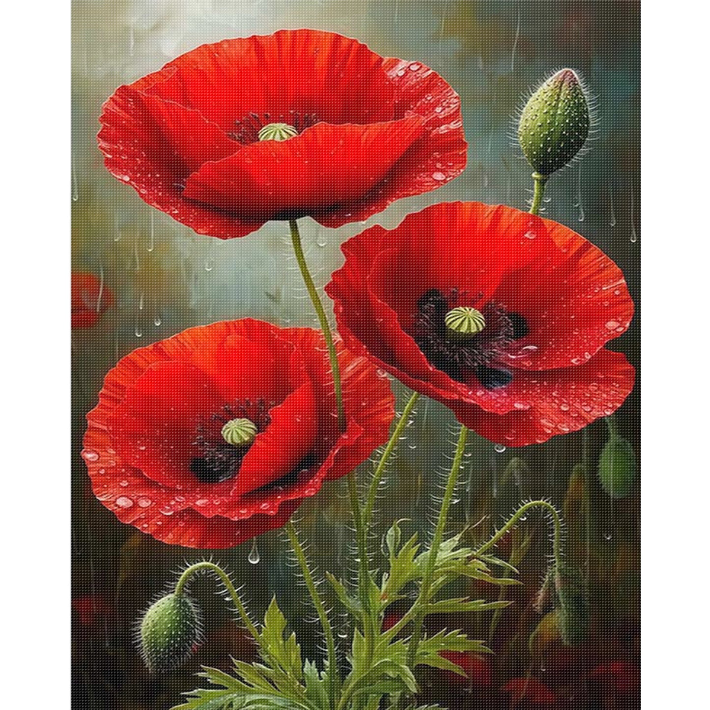 Red Poppy Tri - Full 11CT Stamped Cross Stitch 40x50CM - Huacan