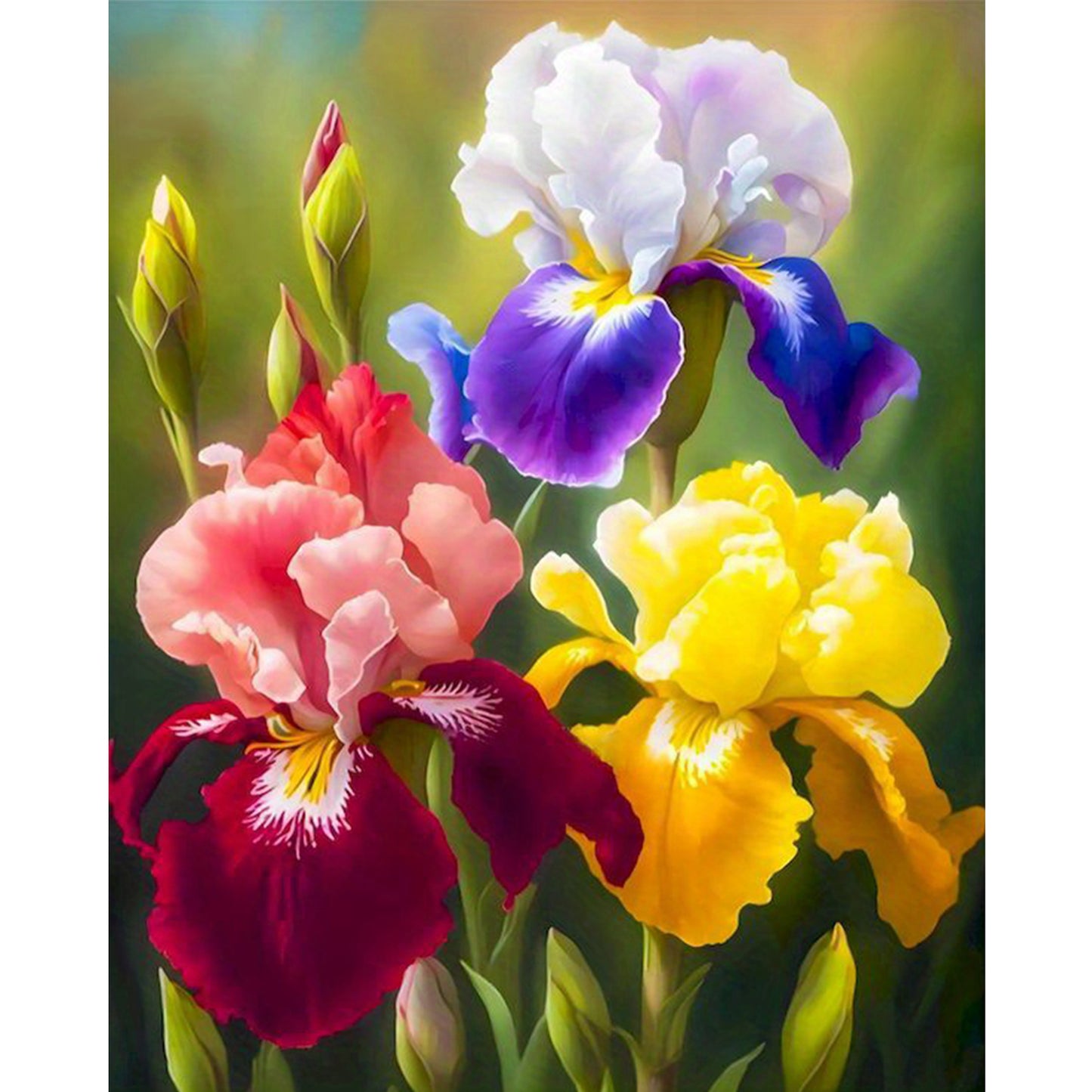 Colorful Iris Bouquet - Full 11CT Stamped Cross Stitch 40x50CM - Huacan