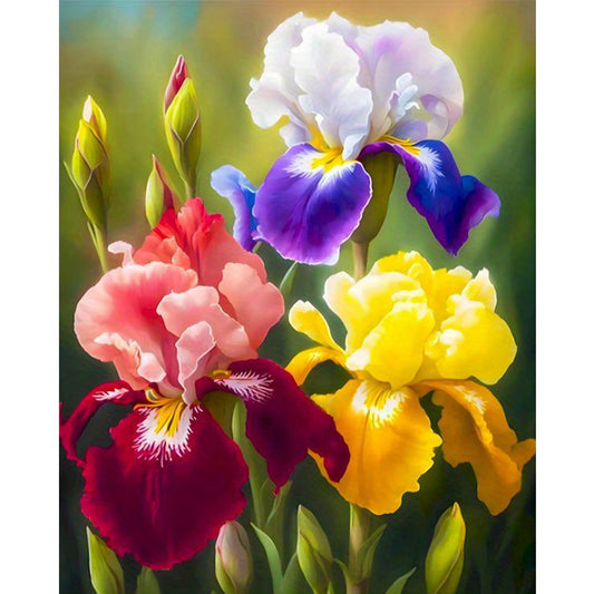 Colorful Iris Bouquet - Full 11CT Stamped Cross Stitch 40x50CM - Huacan