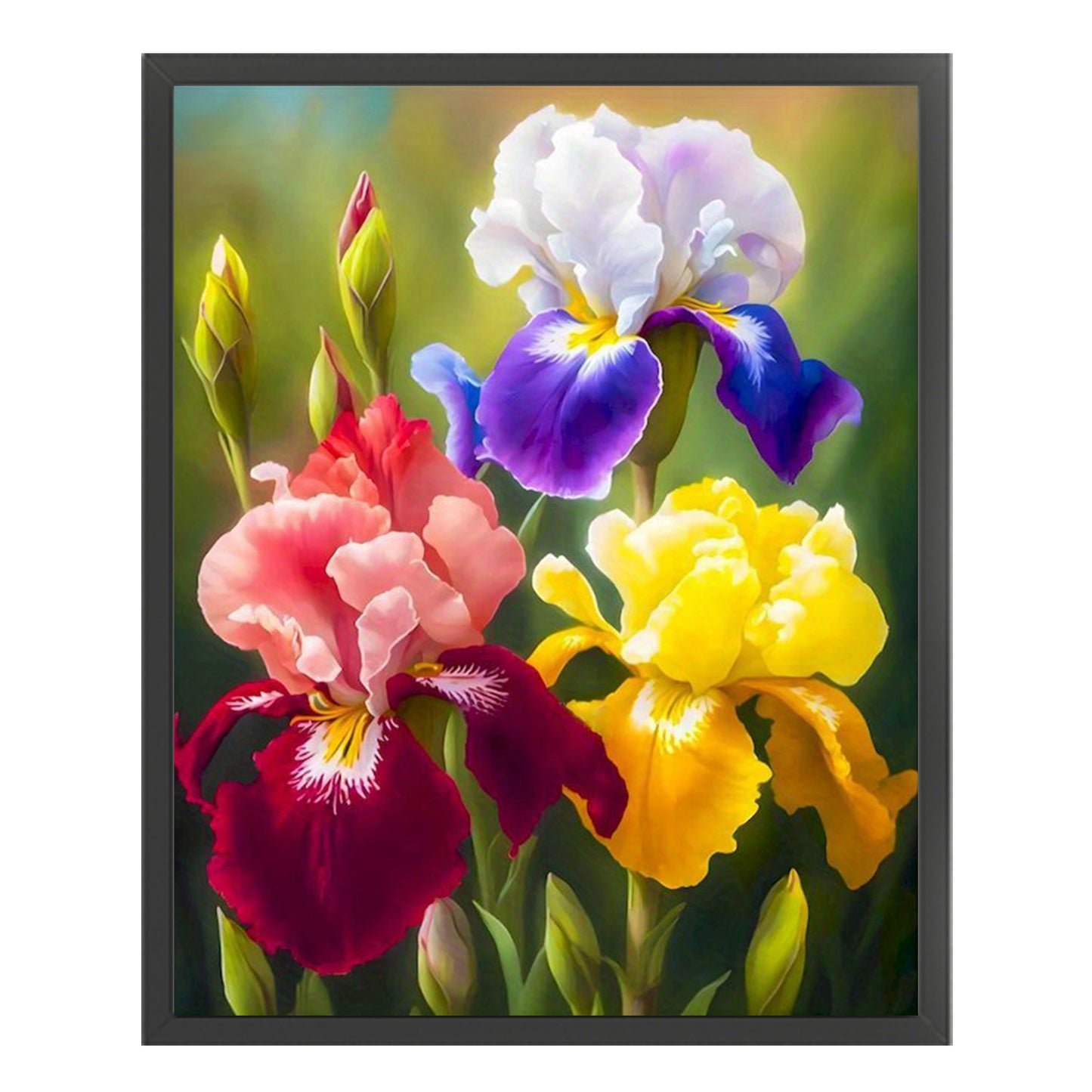 Colorful Iris Bouquet - Full 11CT Stamped Cross Stitch 40x50CM - Huacan