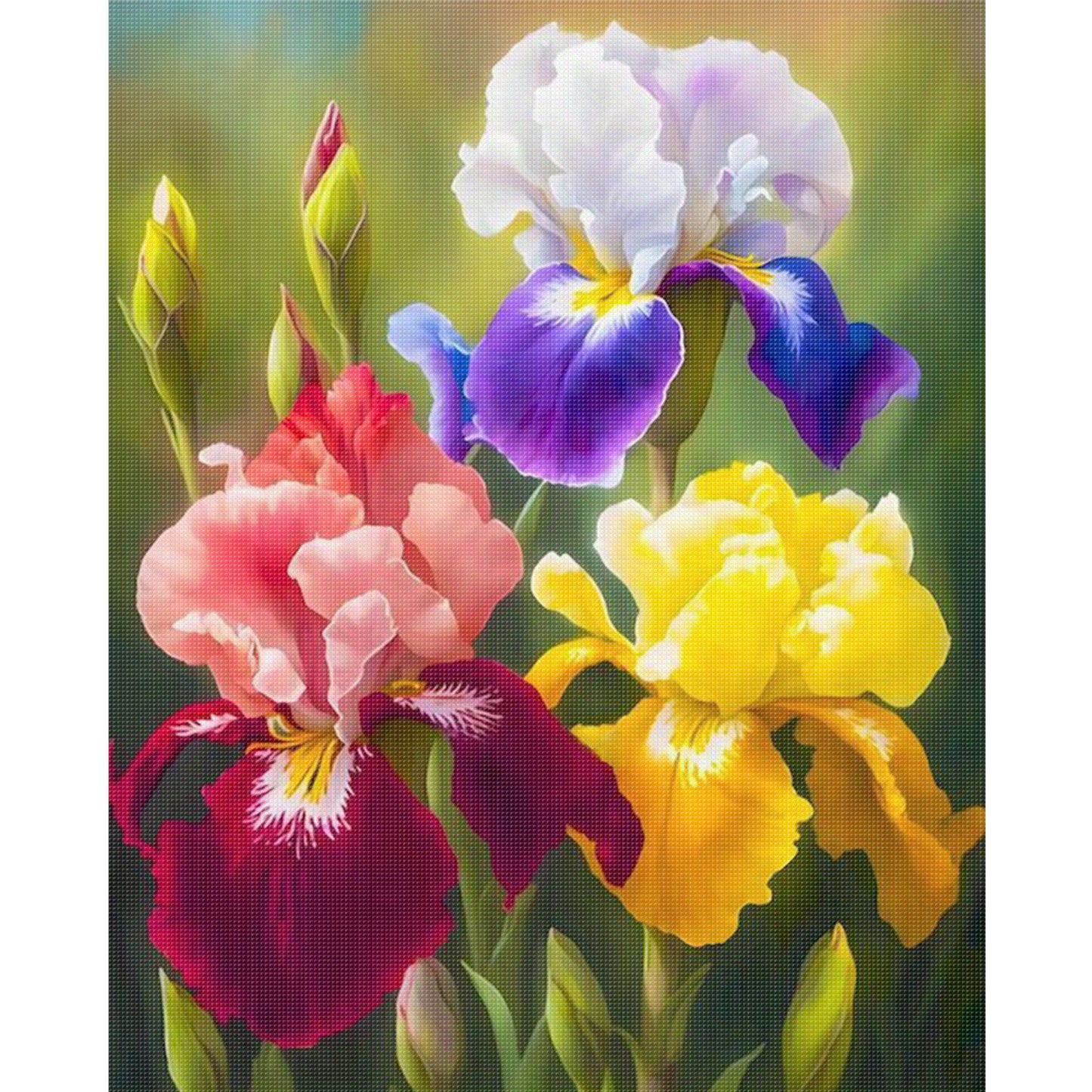 Colorful Iris Bouquet - Full 11CT Stamped Cross Stitch 40x50CM - Huacan