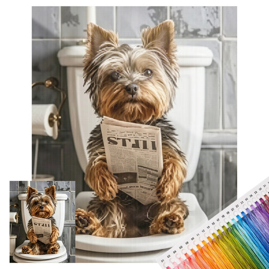 Yorkshire Terrier auf der Toilette lesend – Hund – Vollständiges 11CT gestempeltes Kreuzstich-Set 40x50 cm – Huacan