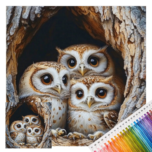 Eule in Baumhöhle - Vollständiges 11CT Stempel-Kreuzstich-Set 40x40CM - Huacan