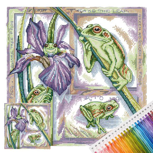 Biologiediagramm – Frosch – Teilweises 14CT gestempeltes Kreuzstichset 36x36CM – Joy Sunday Rückstich + Halbkreuzstich